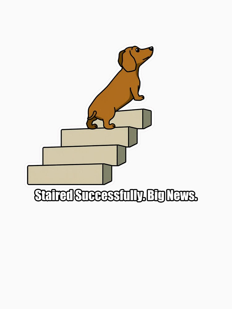 Dachshund - Staired Successfully Big News - Funny Dachshund Gift by pawdrops