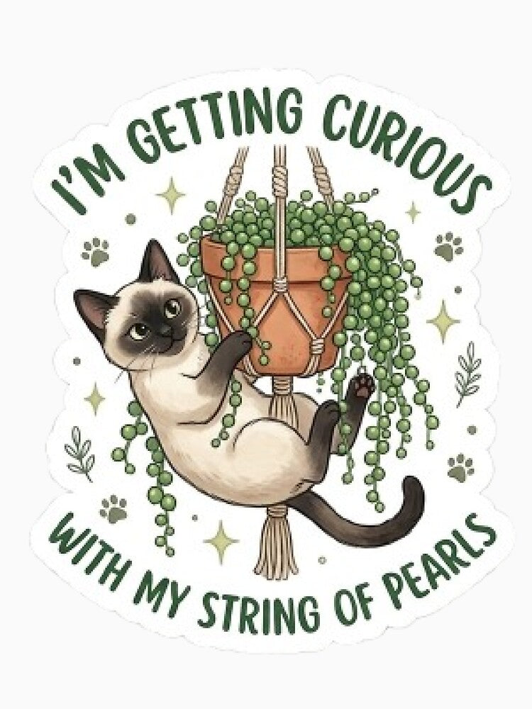 Siamese Cat String of Pearls - Rare Plant Lover Sticker by Barkashow