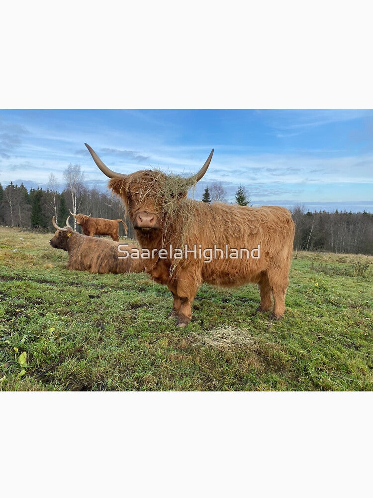 Scottish Highland Cattle Cow 3057 by SaarelaHighland