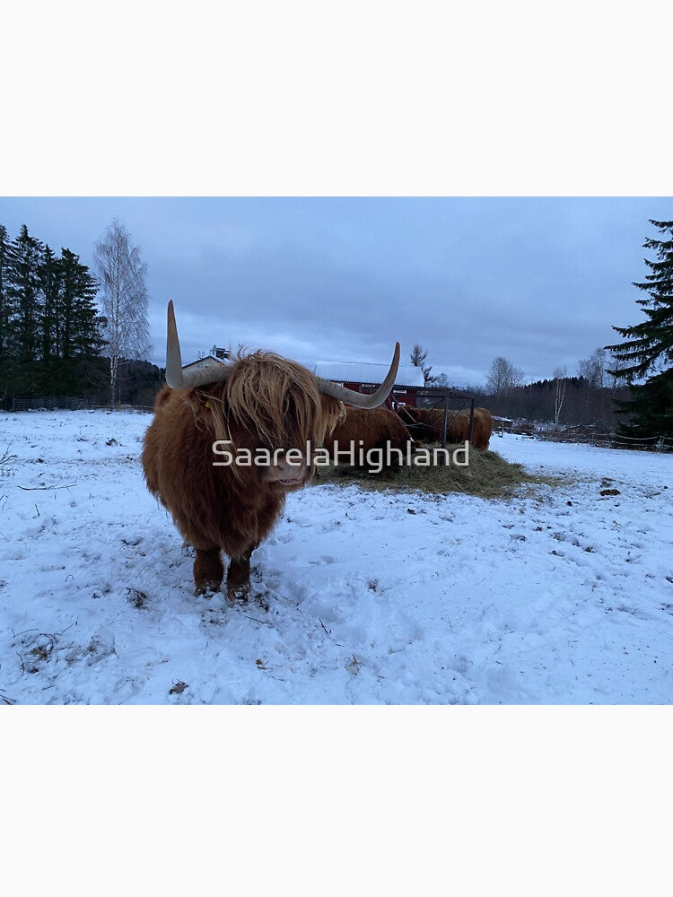 Scottish Highland Cattle Cow 3088 by SaarelaHighland