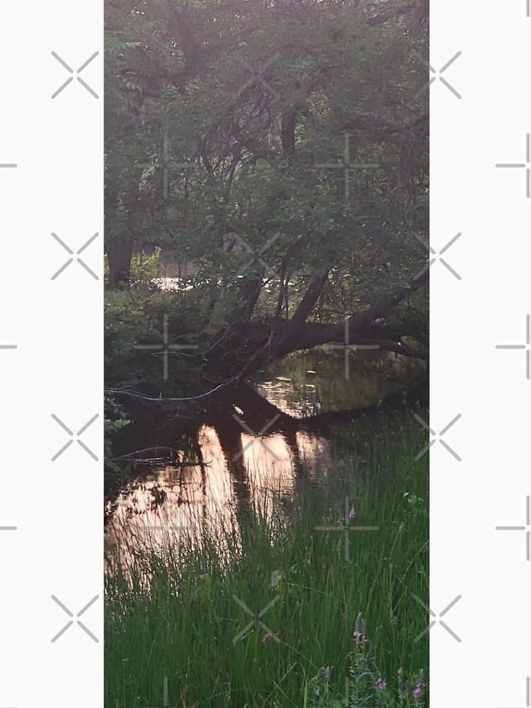 Trees dipped in a lake with sunset sunlight by Lavenderpeachs