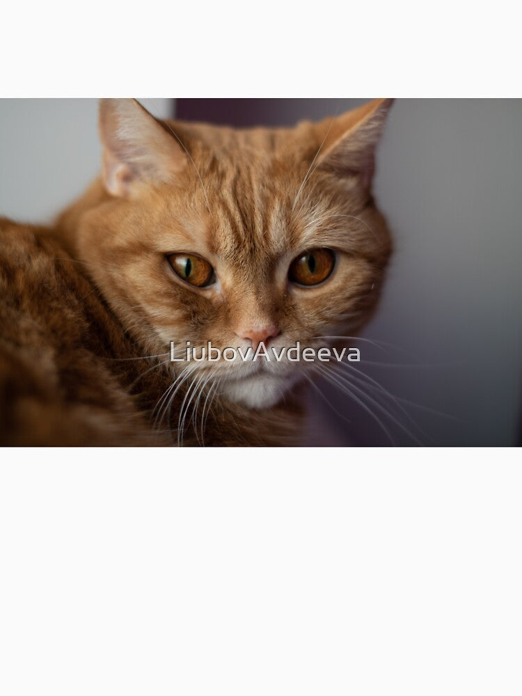 Cute ginger cat by LiubovAvdeeva