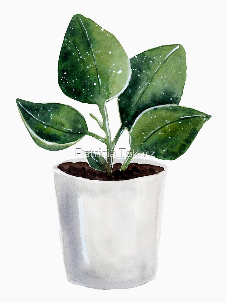 Potted House Plant - Watercolour Illustration by Pattokarts