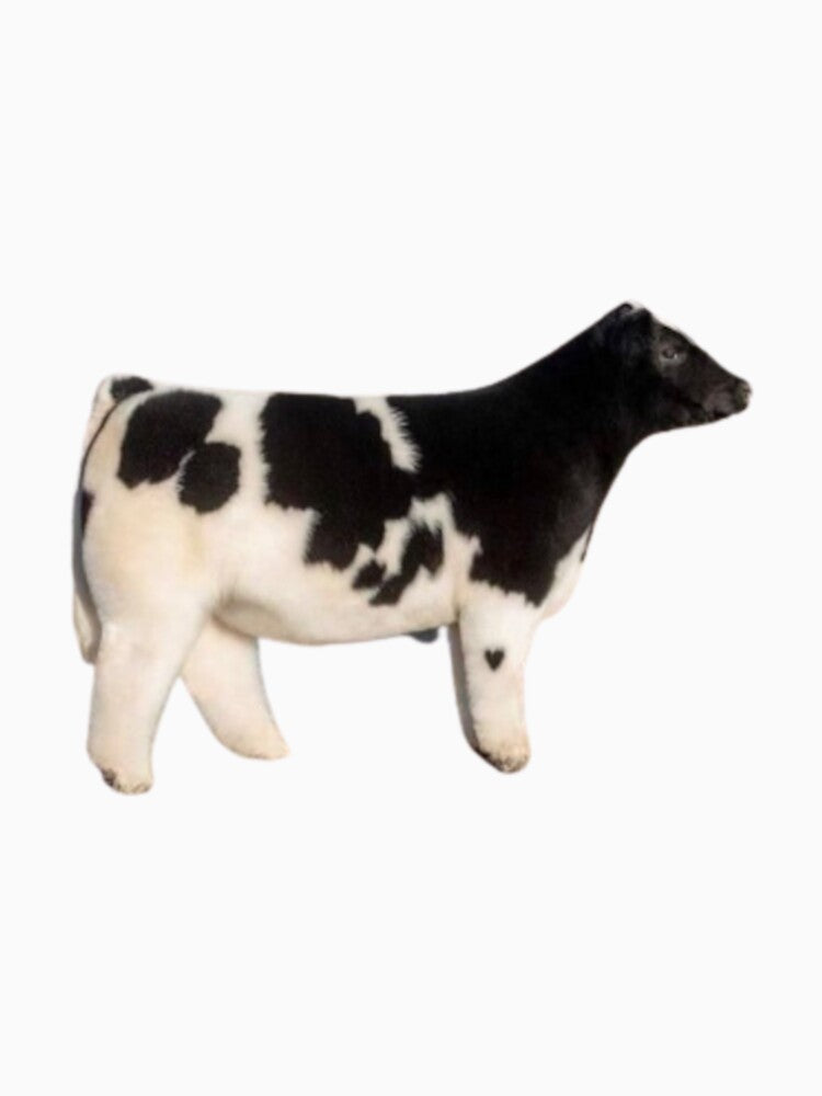 Fluffy Cow by strawberryvogue