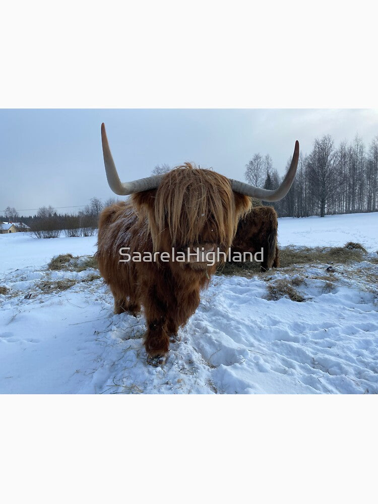 Scottish Highland Cattle Cow 3269 by SaarelaHighland