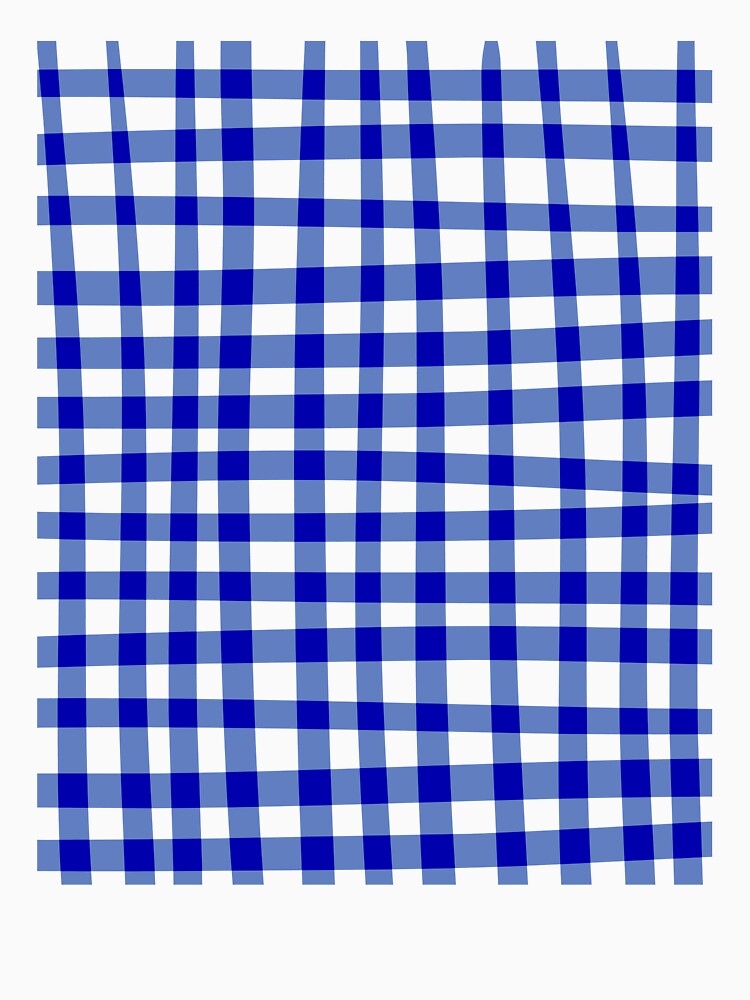 Blue Picnic Plaid by JuneJournal
