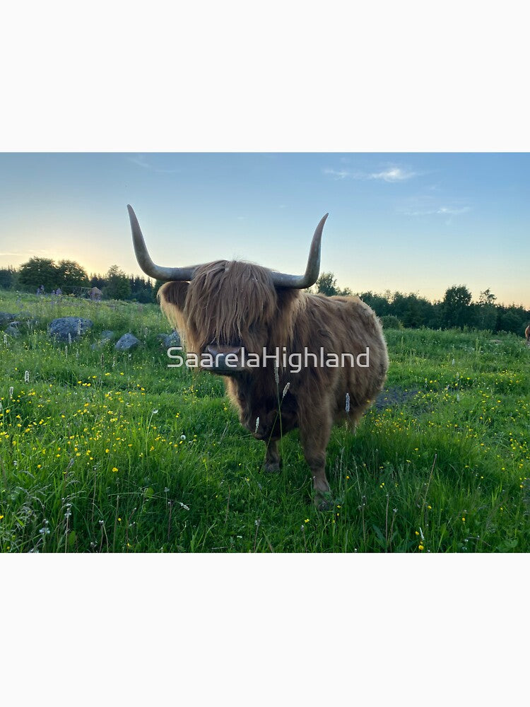 Scottish Highland Cattle Cow 3377 by SaarelaHighland