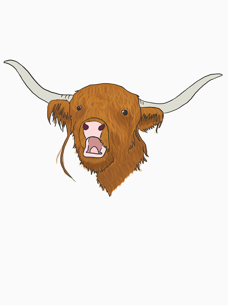Highland Cow by noacraig