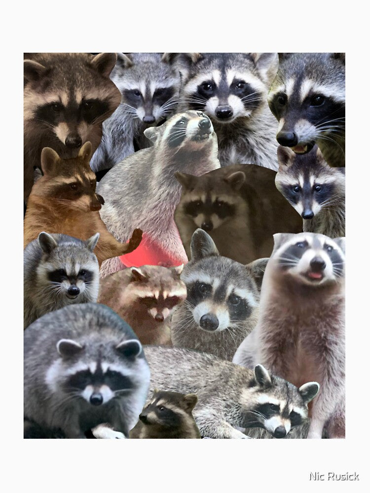 Raccoon Chaos by Nic Rusick