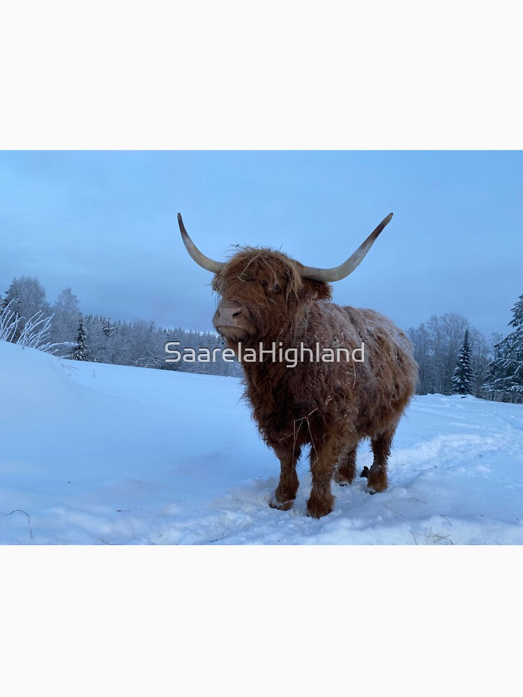 Scottish Highland Cattle Cow 3157 by SaarelaHighland