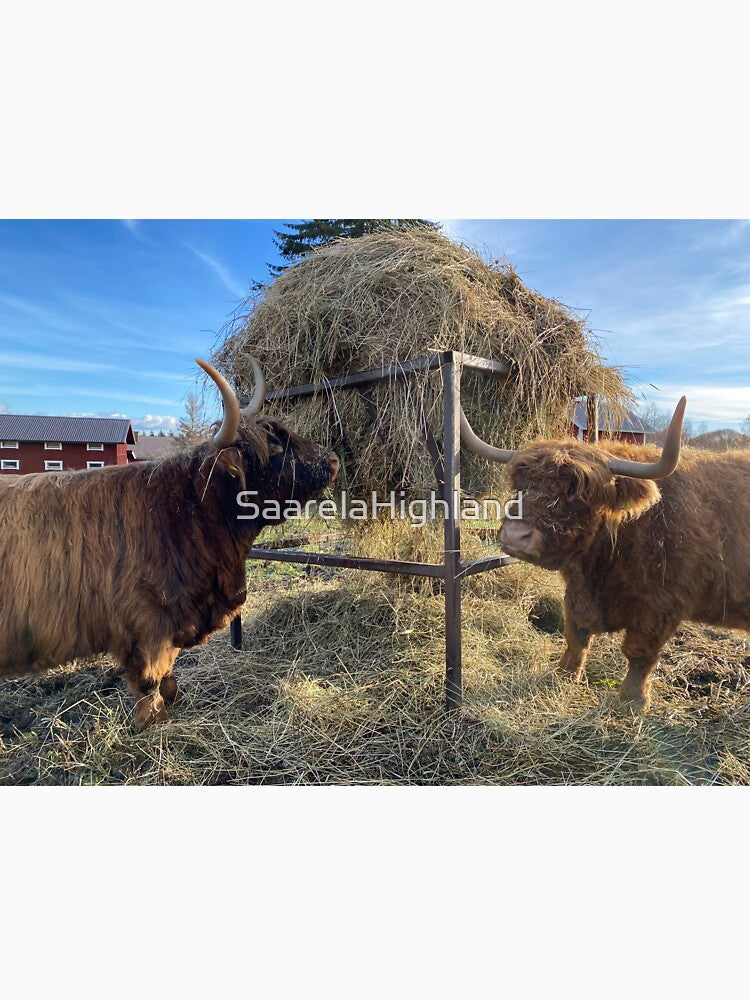 Scottish Highland Cattle Cows 3045 by SaarelaHighland
