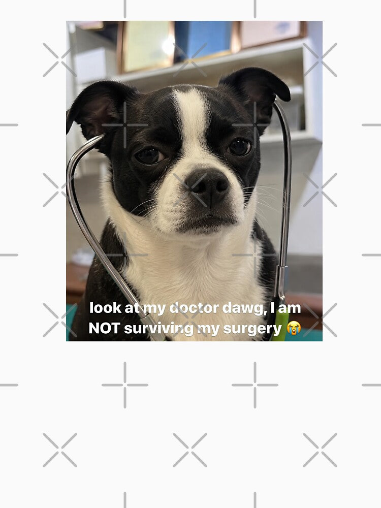 Serious Boston Terrier Wearing Medical Stethoscope by Flying Doggo