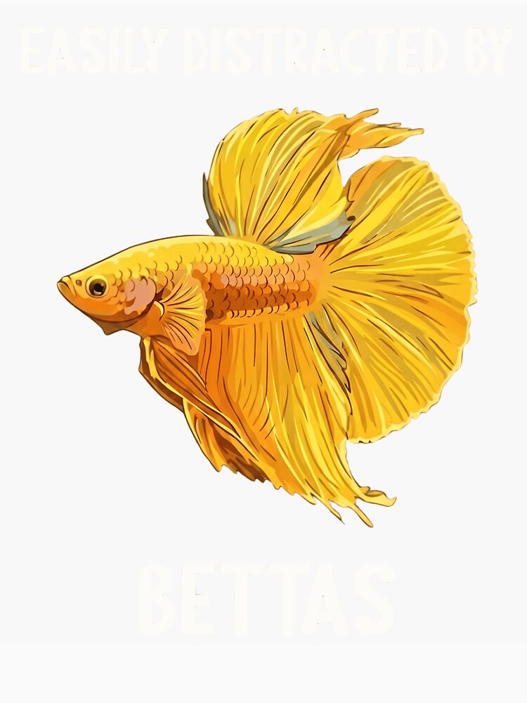 Easily Distracted By Bettas - Golden Yellow Siamese Fighting Fish by haitrieuic96