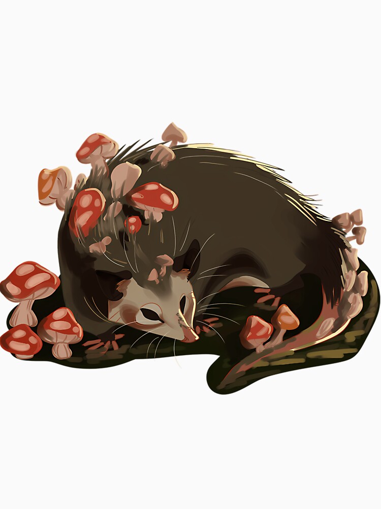 Cute Mushroom Opossum Art by qrfwhislu5