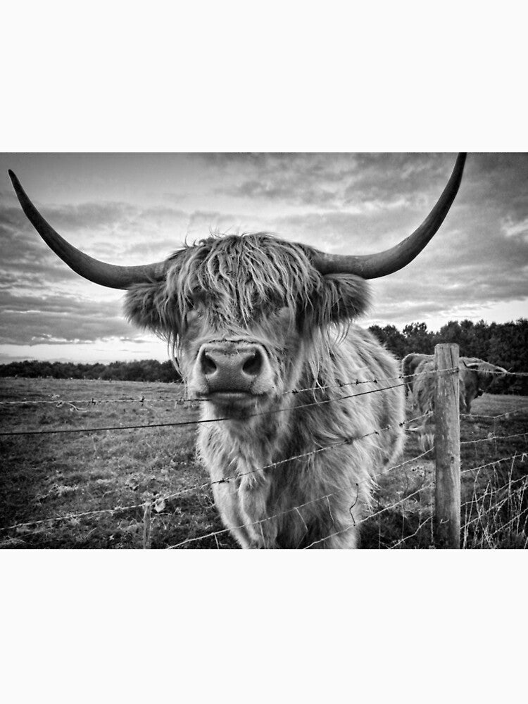 Black and White Cow by WoodenT