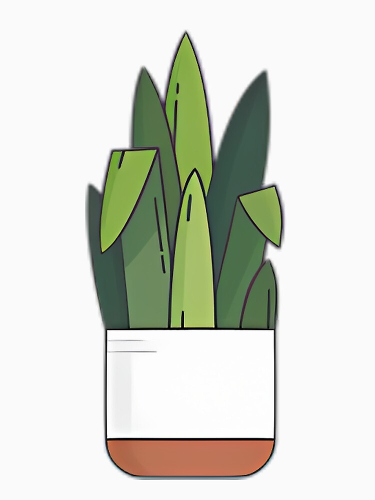 Snake Plant Houseplant by lqycnvzxyg3