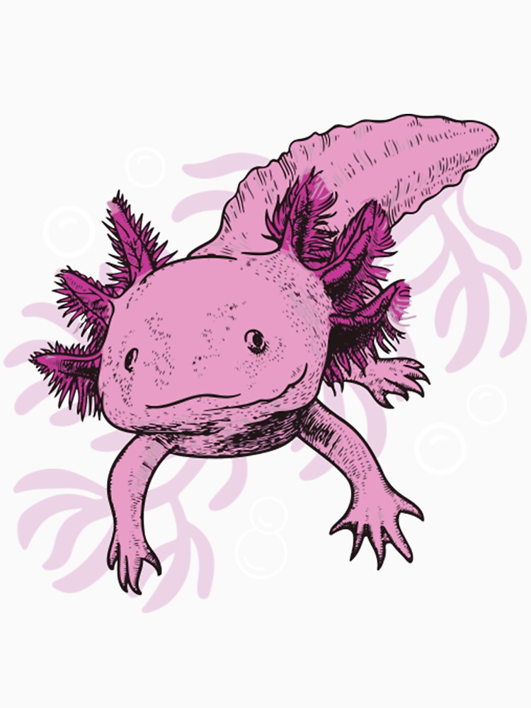 Funny Pink Axolotl Coral Art by SamuelFranz