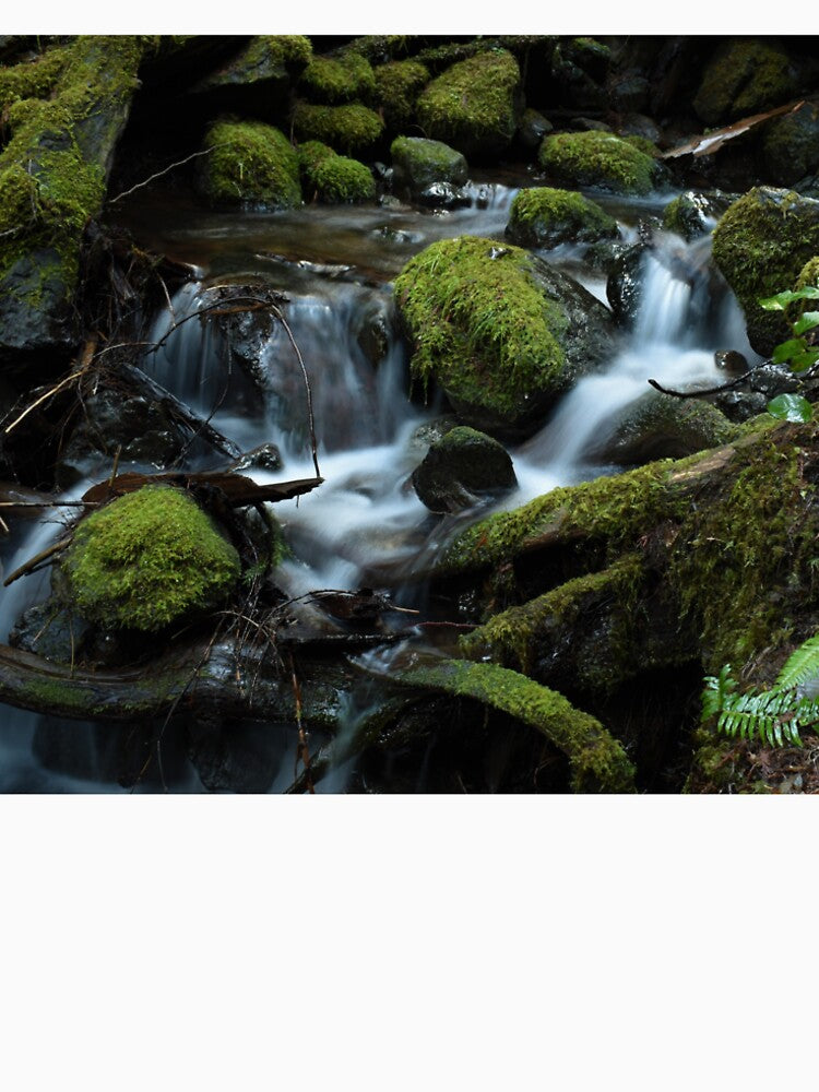 Enchanted Mossy Forest Stream Waterfall by Dorples