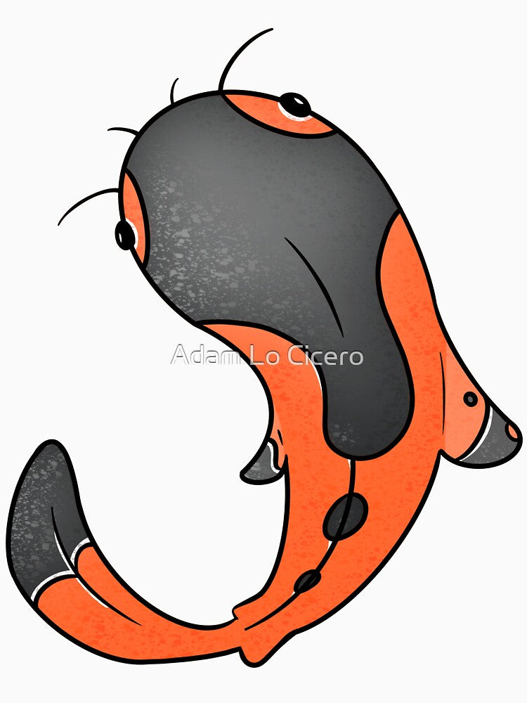 koi by Adam Lo Cicero
