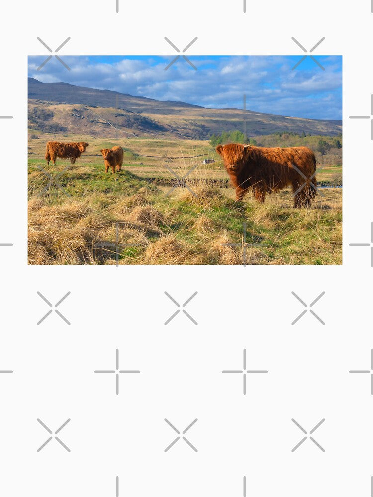 Highland Cows On The Field by TheAnimalZ00