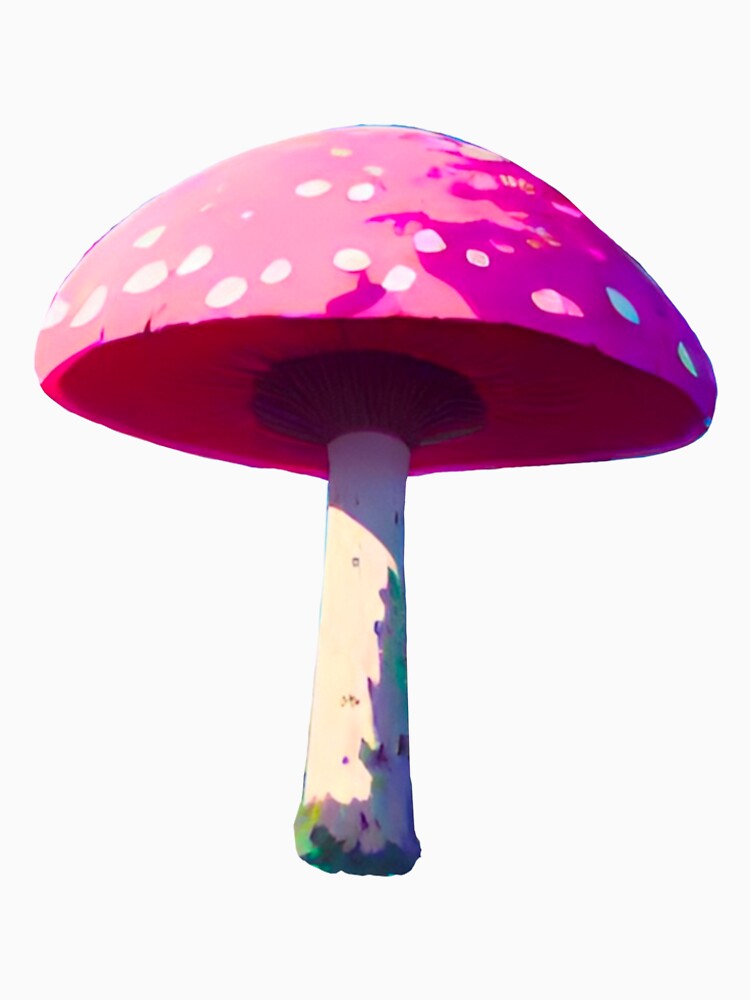 Blush Mushroom by KaidasFerns