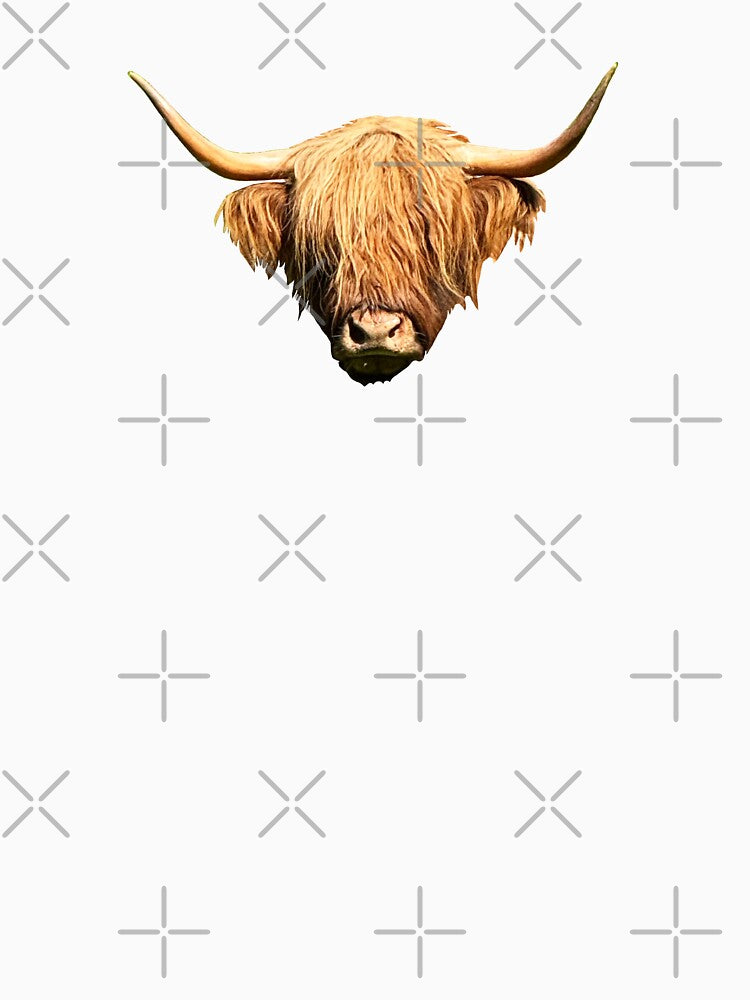 Highland cow by suekieper
