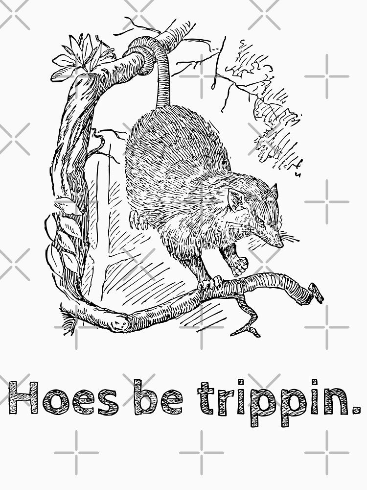 Hoes be trippin - Black Outline Opossum Shirt by BeWilDesigns