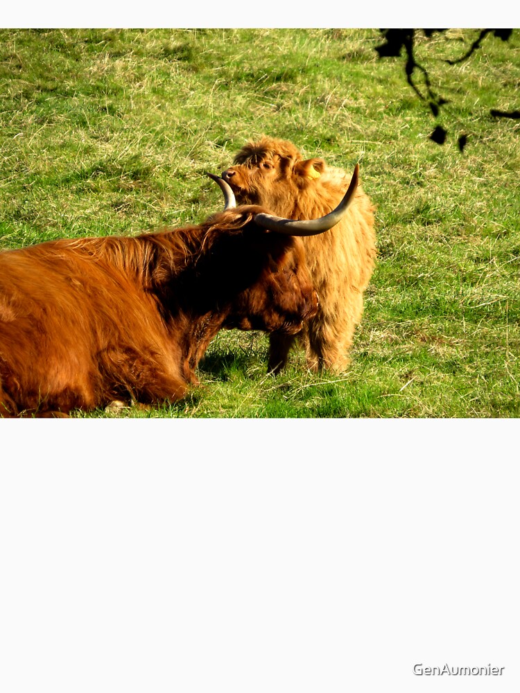 Highland Coo and Calf I - Photograph by GenAumonier