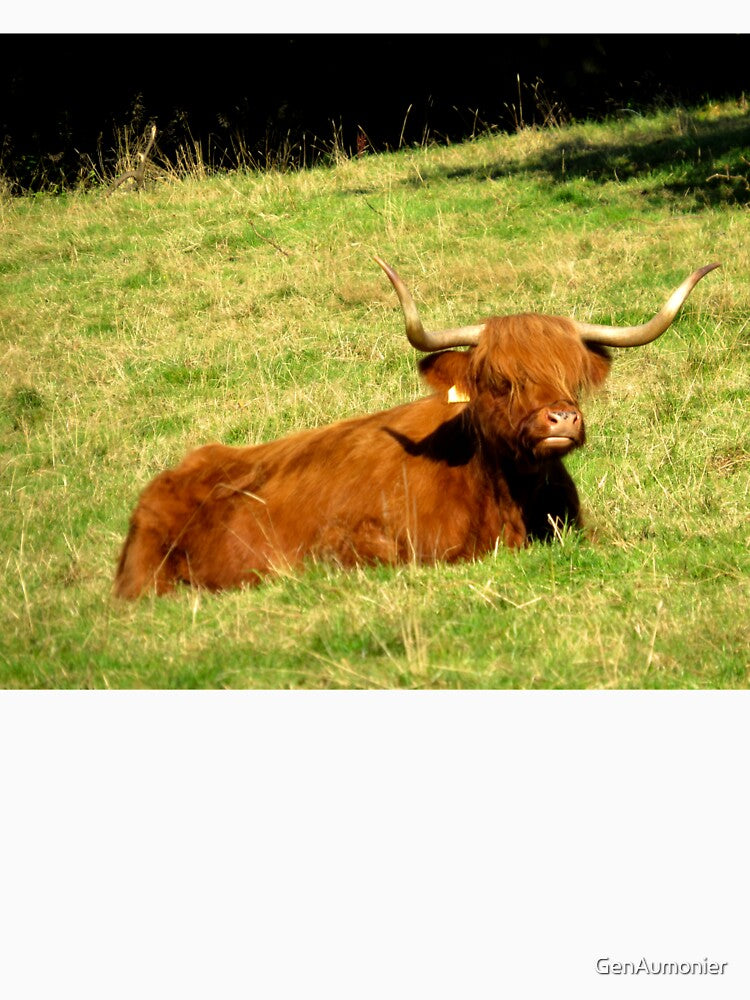 Resting Highland Coo - Photograph by GenAumonier