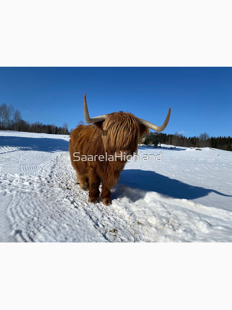Scottish Highland Cattle Cow 3268 by SaarelaHighland