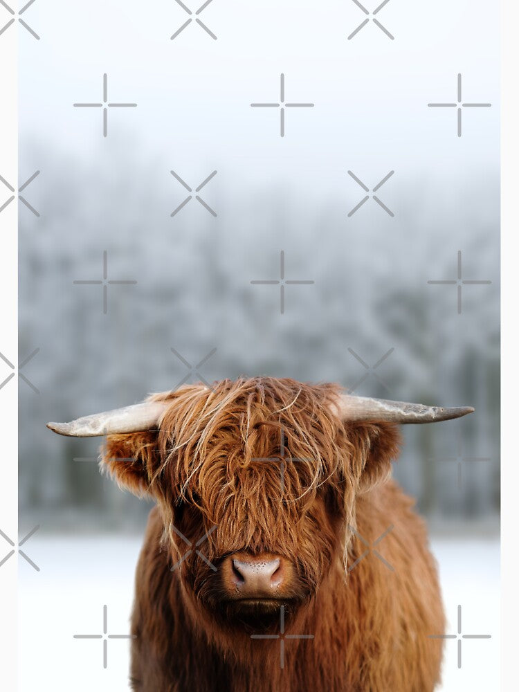 Scottish Highland Cow In Snow by Craft DartCO
