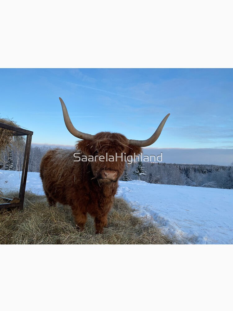 Scottish Highland Cattle Cow 3141 by SaarelaHighland