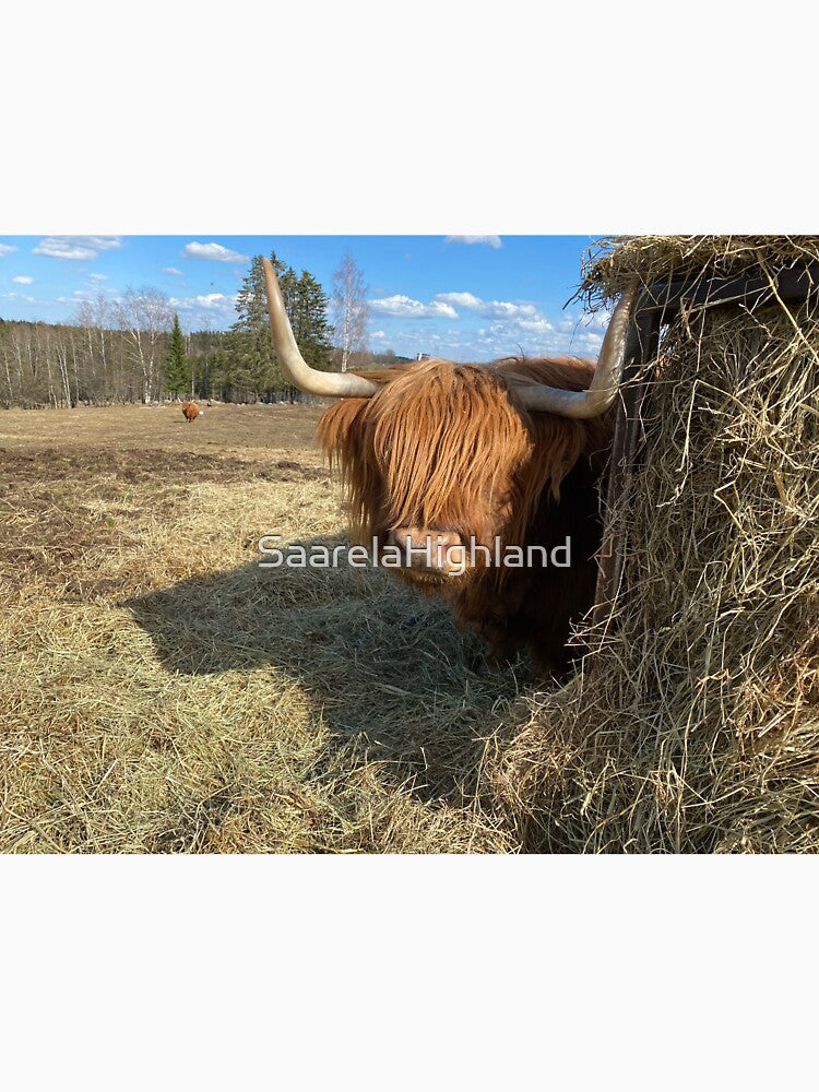Scottish Highland Cattle Cow 3326 by SaarelaHighland