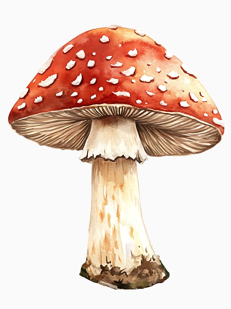 Fairycore Aesthetic: Magical Mushroom by bapupa