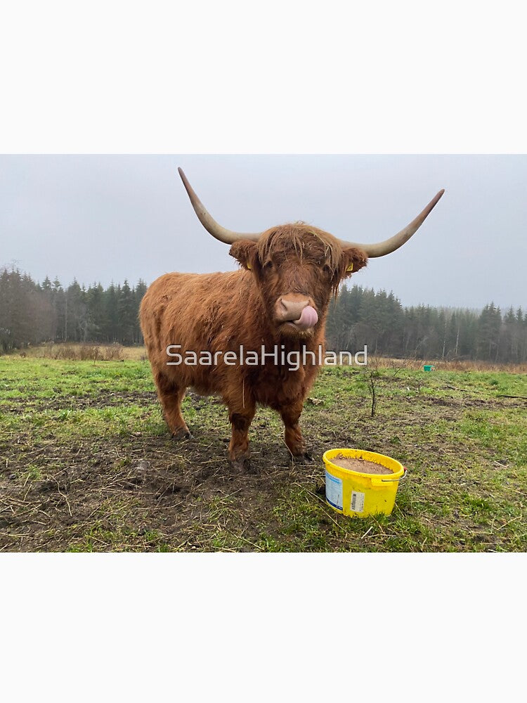 Scottish Highland Cattle Cow 3058 by SaarelaHighland