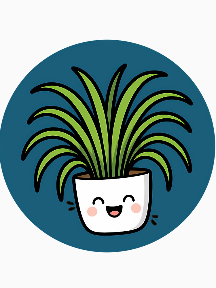 Happy Spider Plant in Pot by afypgzcstc8