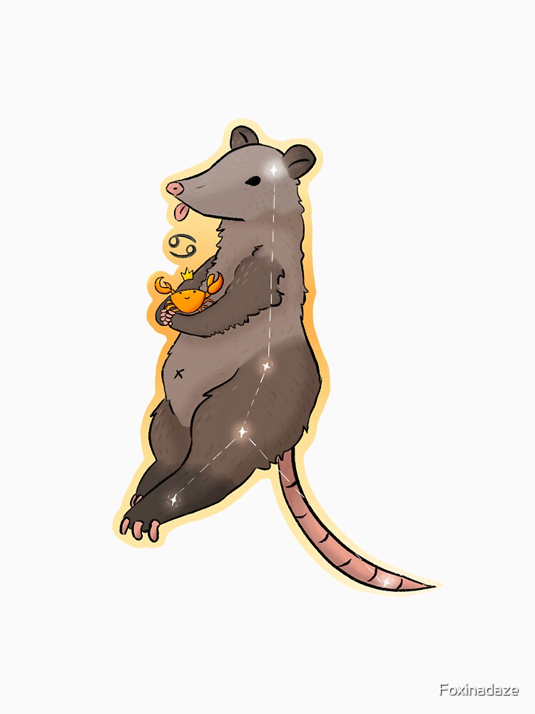 Zodiac Possum: Cancer by Foxinadaze
