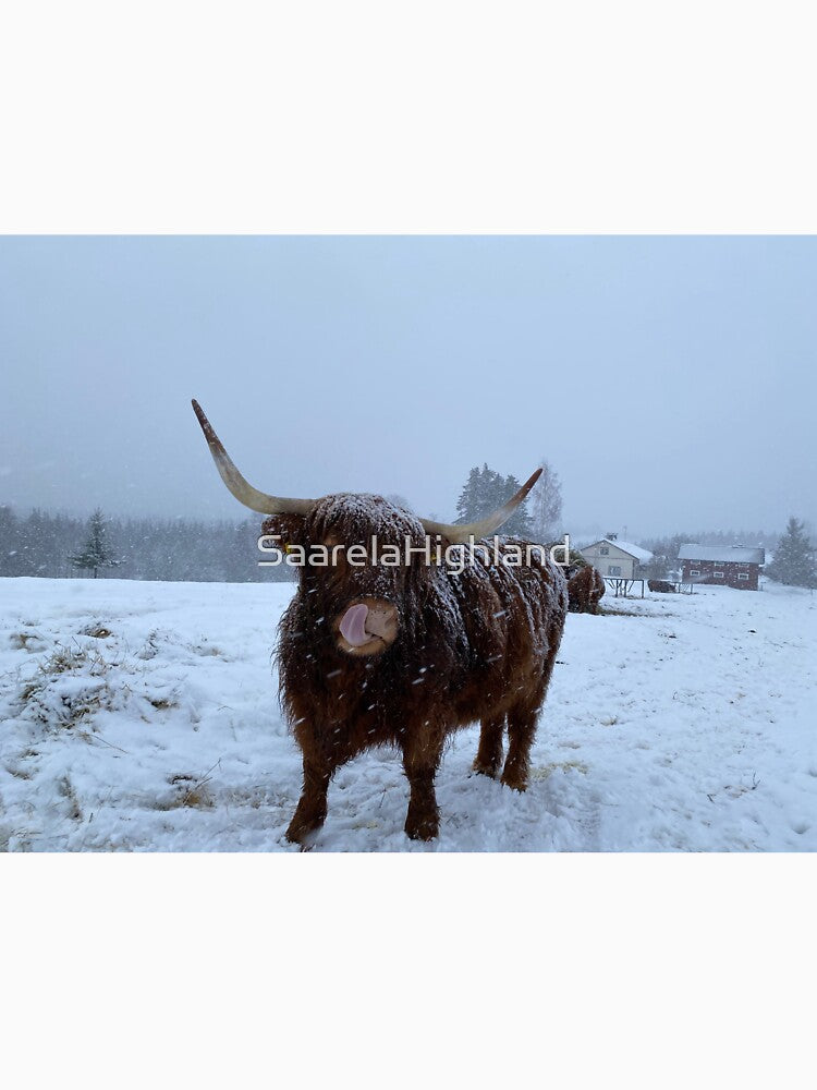 Scottish Highland Cattle Cow 3225 by SaarelaHighland