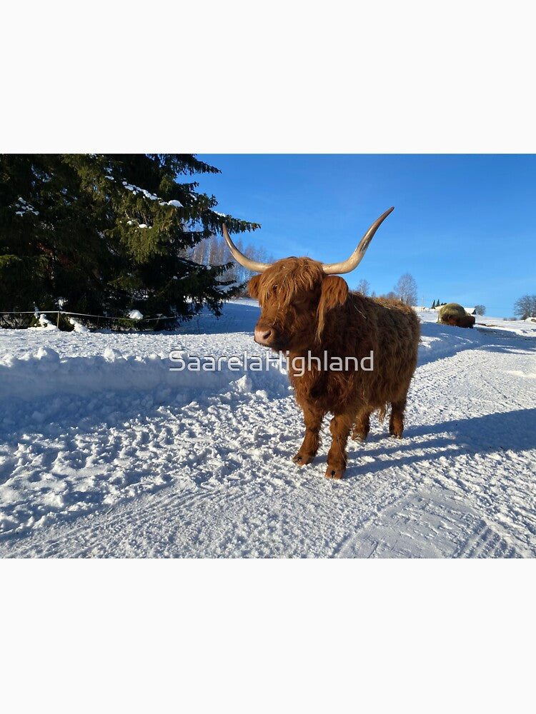 Scottish Highland Cattle Cow 3229 by SaarelaHighland