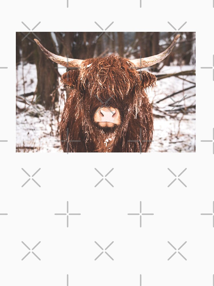 Snowy Scottish Highland Cow by TheAnimalZ00