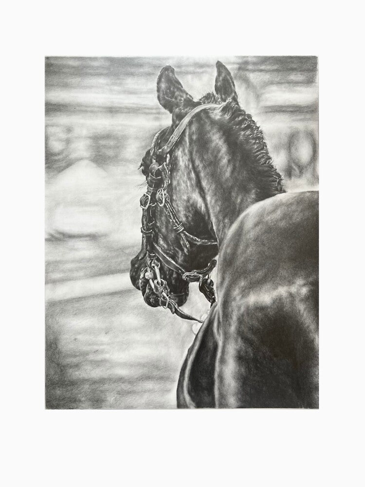 Eyes Ahead - Graphite Equine Artwork by KyteFineart