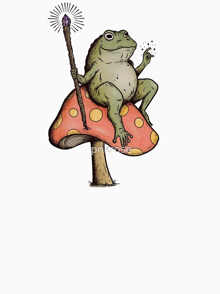 magical wizard frog on mushroom by pnkrose