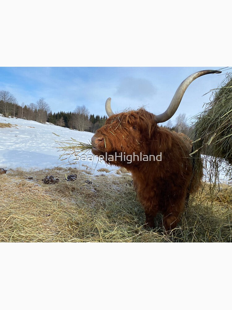 Scottish Highland Cattle Cow 3276 by SaarelaHighland