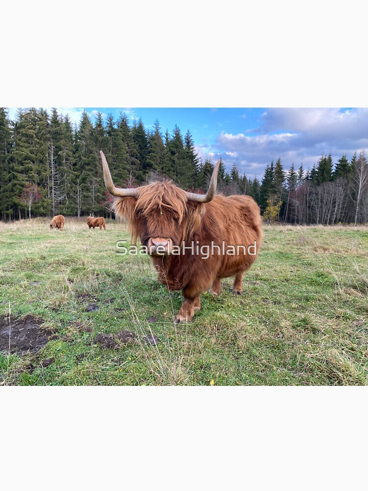 Scottish Highland Cattle Cow 3027 by SaarelaHighland