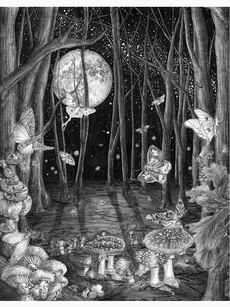 Midnight Magic by ECMazur Art