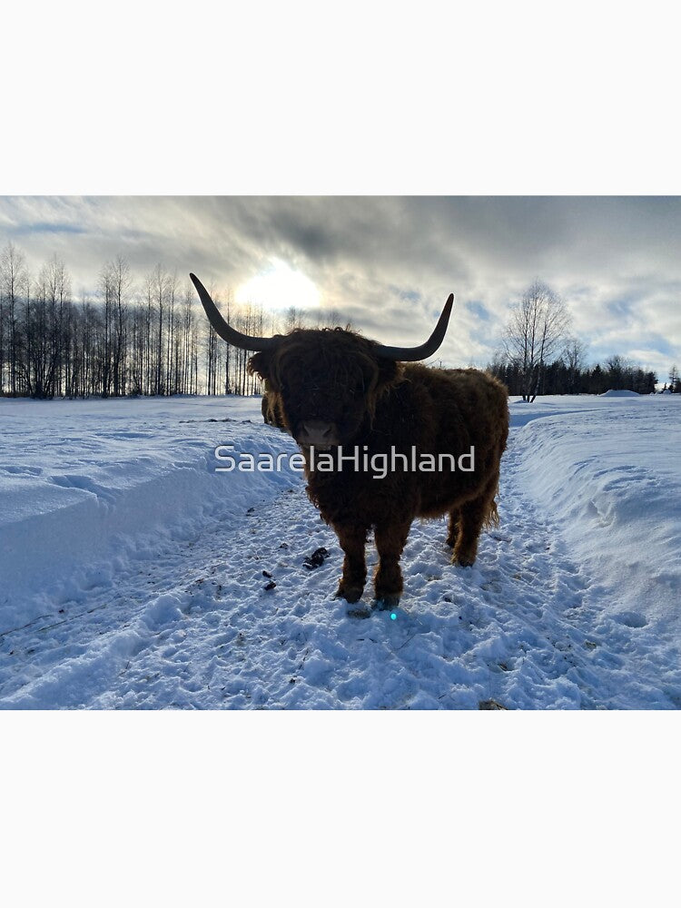 Scottish Highland Cattle Cow 3244 by SaarelaHighland