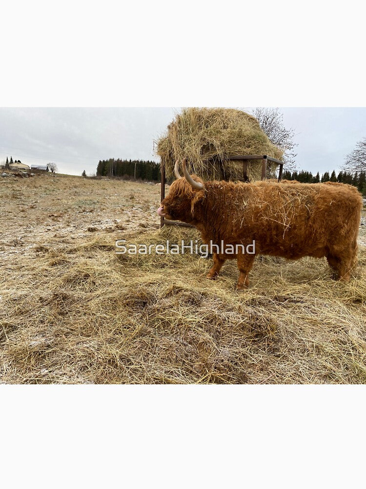 Scottish Highland Cattle Cow 3075 by SaarelaHighland