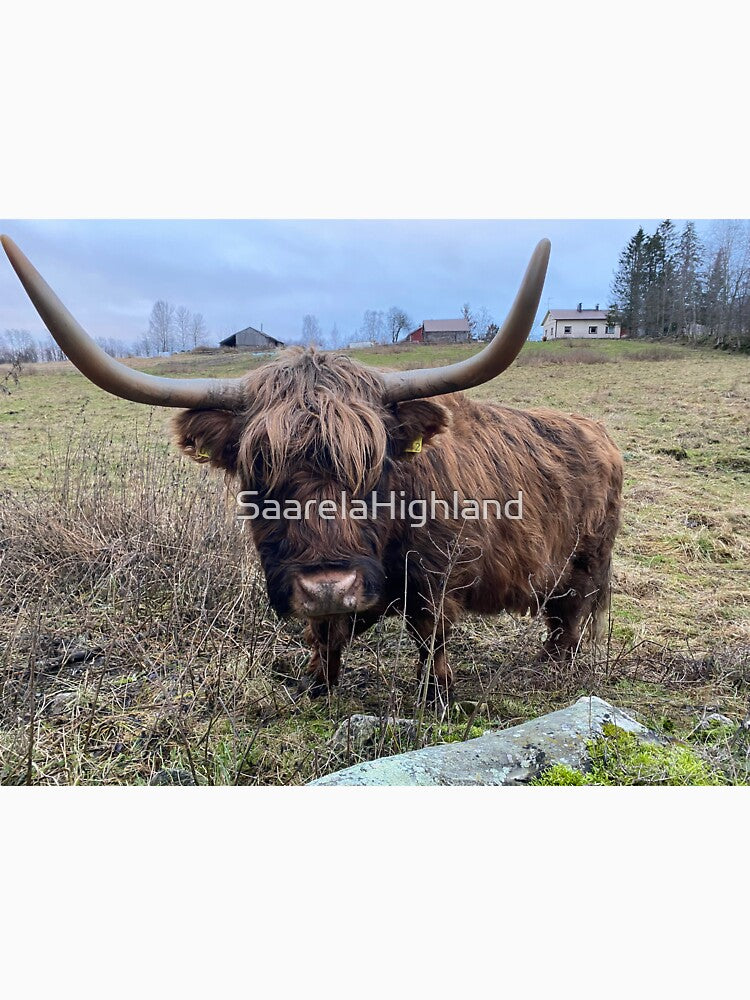 Scottish Highland Cattle Cow 3082 by SaarelaHighland