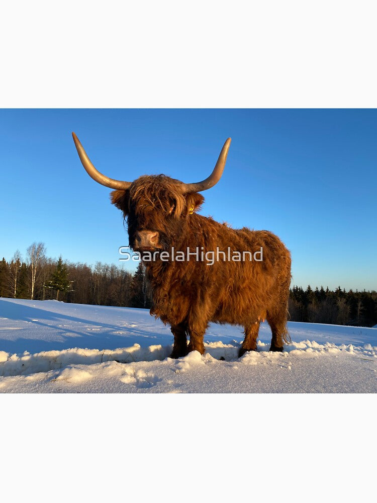 Scottish Highland Cattle Cow 3189 by SaarelaHighland