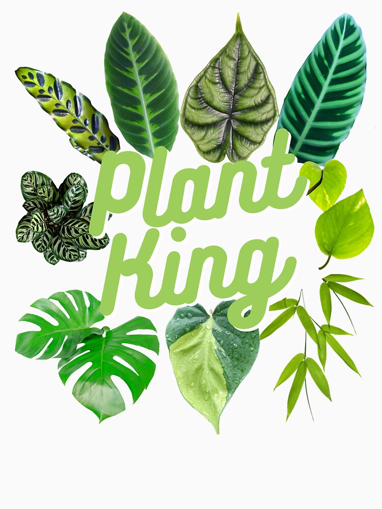 Plant King Houseplant Indoor Jungle Leaves House Plant by Vicious Malicious